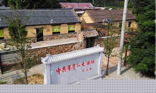 平度市旧店金矿张少文,平度旧店金矿含金价